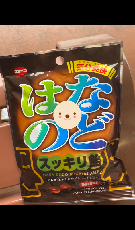アウトレット品 早川製菓 鼻 のどすっきり 花粉対策 キャンディ 飴 70g