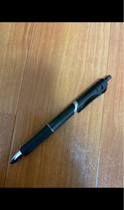 日本パール スイムゲルインクボールペン０．５黒２Ｐ（日本パール加工 