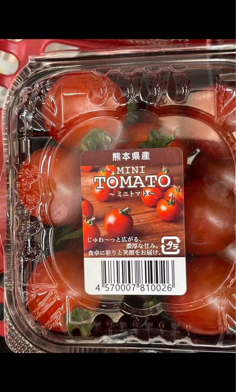 日本在庫・即発送 tomato＊様専用 ぬいぐるみ