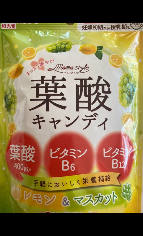絶対一番安い ママスタイル 葉酸+鉄キャンディ 78g 1個 yashima-sobaten.com