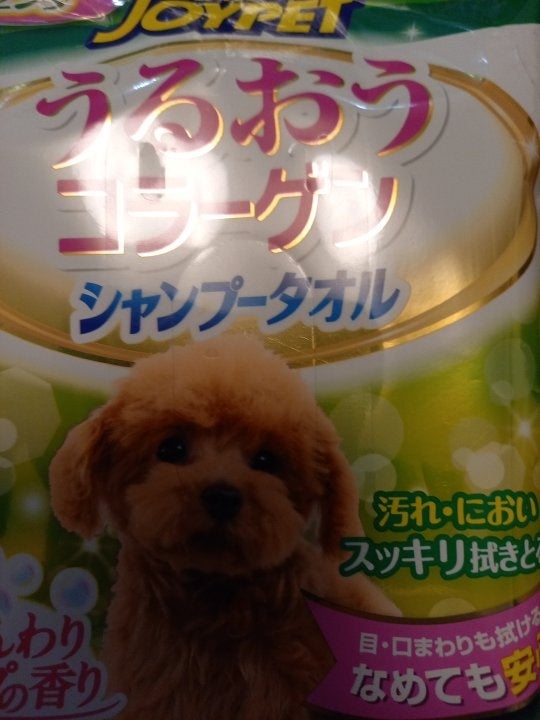 オンラインショップ シャンプータオル 中型 大型犬用 15枚 Happy Pet qdtek.vn
