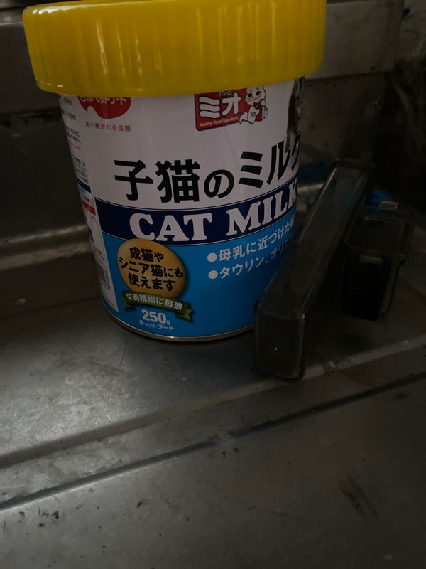 日本ペットフード ミオ 子猫のミルク ２５０ｇ（日本ペットフード）の口コミ・評判、評価点数 ものログ